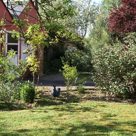 Maison St Mayeul بيت ضيافة