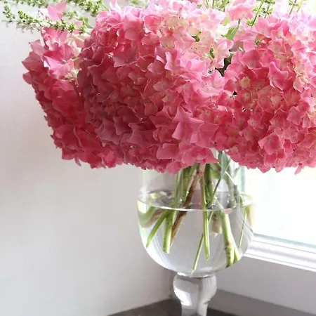 Maison St Mayeul Gasthof Bouere