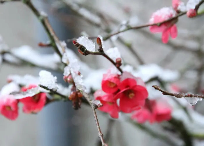 Maison St Mayeul Penzion 3*