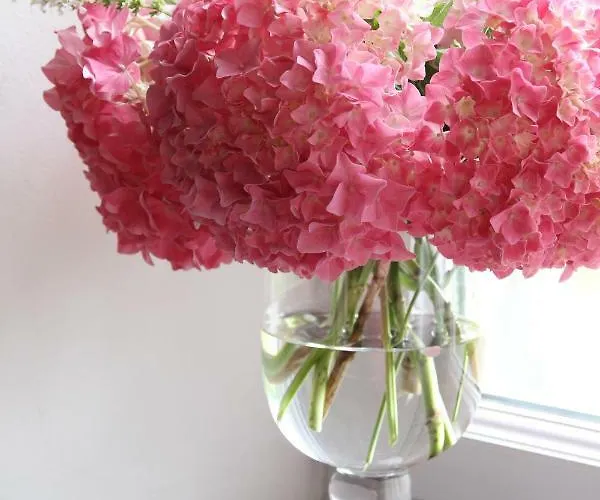 Maison St Mayeul Penzion Bouere